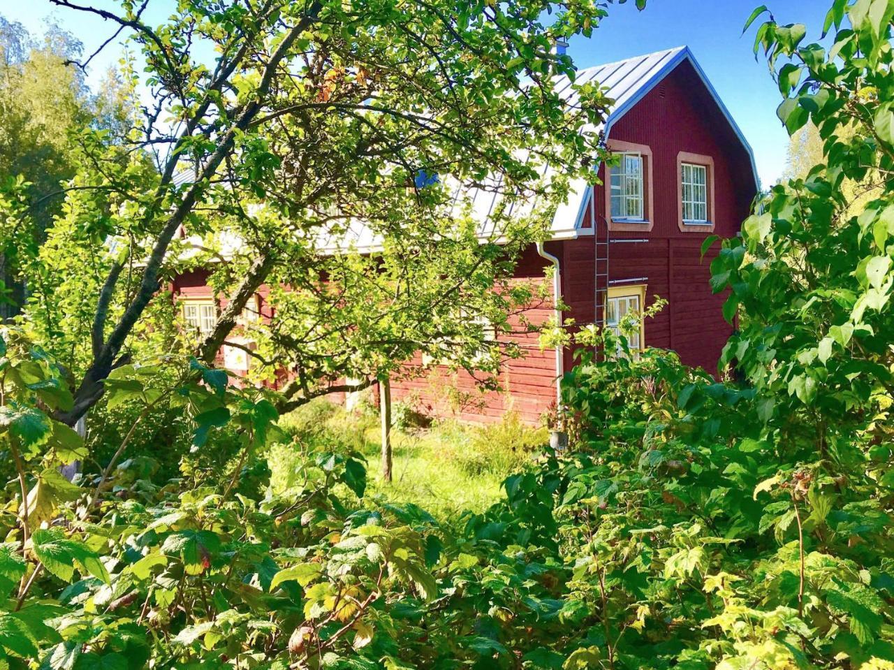 Kolin Mattila B&B Koli  Exterior photo